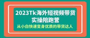 2023-Tk海外短视频带货-实操陪跑营，从小白快速变身优质的带货达人-星河网创