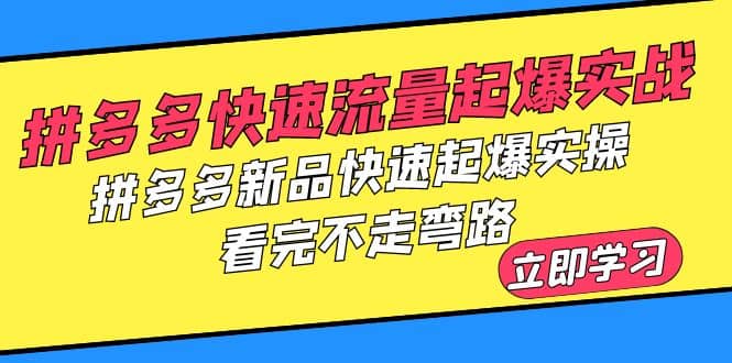 拼多多-快速流量起爆实战，拼多多新品快速起爆实操，看完不走弯路-星河网创