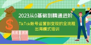2023从0基础到精通进阶，TikTok账号运营到变现的全流程出海模式培训-星河网创