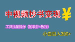 2023中视频抄书变现（附工具+教程），一天300+，特别适合新手操作的副业-星河网创
