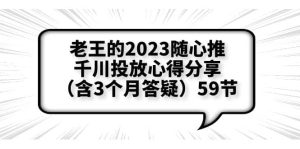 老王的2023随心推+千川投放心得分享（含3个月答疑）59节-星河网创
