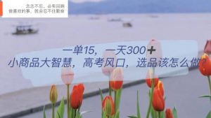 一单15，一天300+，小商品大智慧，高考风口，选品该怎么布局-星河网创