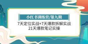 小红书训练营/第九期：7天定位实战+7天爆款拆解实战，21天爆款笔记实操-星河网创