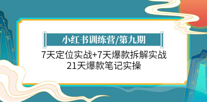 小红书训练营/第九期：7天定位实战+7天爆款拆解实战，21天爆款笔记实操-星河网创