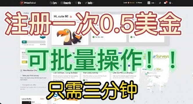 国外项目注册一次0.5美金 只需三分钟无脑操作 可批量放大 小白工作室福利-星河网创