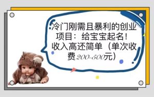 冷门刚需且暴利的创业项目：给宝宝起名！收入高还简单（单次200-500）-星河网创