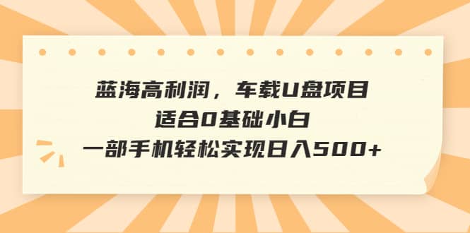 蓝海高利润，车载U盘项目，适合0基础小白，一部手机轻松实现日入500+-星河网创