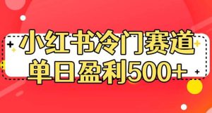 小红书冷门赛道，单日盈利500+【揭秘】-星河网创