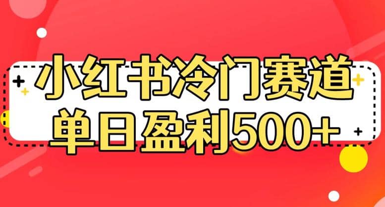 小红书冷门赛道，单日盈利500+【揭秘】-星河网创