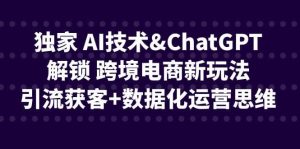 独家 AI技术ChatGPT解锁 跨境电商新玩法，引流获客+数据化运营思维-星河网创
