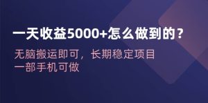 一天收益5000+怎么做到的?无脑搬运即可,长期稳定项目,一部手机可做-星河网创