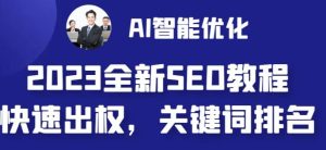 2023最新网站AI智能优化SEO教程，简单快速出权重，AI自动写文章+AI绘画配图-星河网创