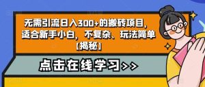 无需引流日入300+的搬砖项目，适合新手小白，不复杂、玩法简单【揭秘】-星河网创