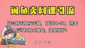 外面这份课卖 698，闲鱼卖网课引流创业粉，新手也可日引50+流量-星河网创