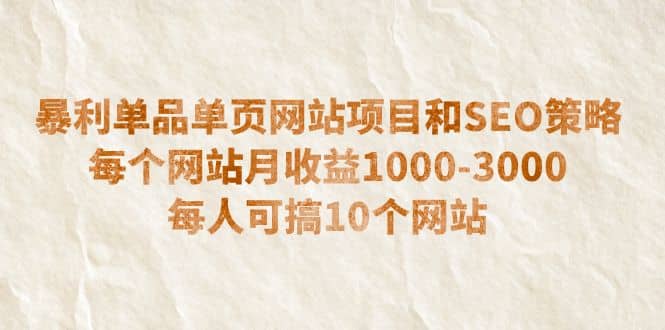 暴利单品单页网站项目和SEO策略 每个网站月收益1000-3000 每人可搞10个-星河网创