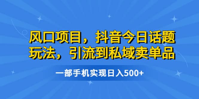 风口项目，抖音今日话题玩法，引流到私域卖单品，一部手机实现日入500+-星河网创