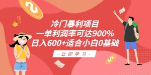 冷门暴利项目，一单利润率可达900%，日入600+适合小白0基础（教程+素材）-星河网创