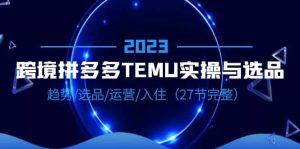 2023跨境·拼多多·TEMU实操与选品，趋势·选品·运营·入住（27节完整）-星河网创
