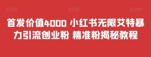 首发价值4000 小红书无限艾特暴力引流创业粉 精准粉揭秘教程-星河网创