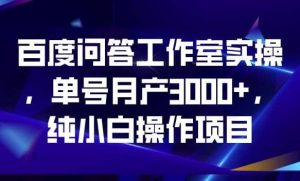百度问答工作室实操，单号月产3000+，纯小白操作项目【揭秘】-星河网创