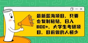 最新蓝海项目，只要会复制粘贴，日入800+，大学生考研项目，目前做的人极少-星河网创