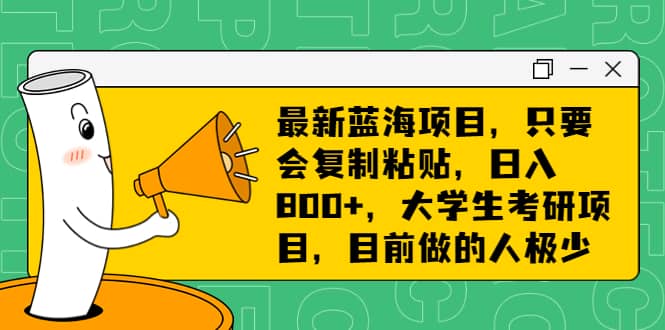 最新蓝海项目，只要会复制粘贴，日入800+，大学生考研项目，目前做的人极少-星河网创