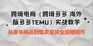 跨境电商（跨境多多 海外版多多TEMU）实操教学 从发布商品到售卖发货全流程-星河网创