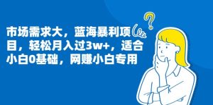 市场需求大，蓝海暴利项目，轻松月入过3w+，适合小白0基础，网赚小白专用-星河网创