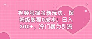 视频号掘金新玩法，保姆级教程0成本，日入300+，冷门暴力引流-星河网创