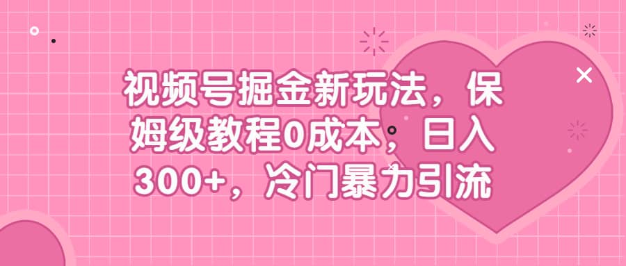 视频号掘金新玩法，保姆级教程0成本，日入300+，冷门暴力引流-星河网创