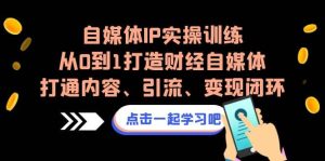 自媒体IP实操训练，从0到1打造财经自媒体，打通内容、引流、变现闭环-星河网创
