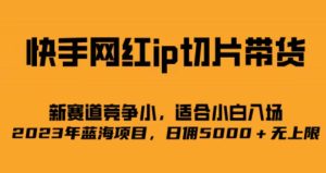 快手网红ip切片新赛道，竞争小事，适合小白 2023蓝海项目-星河网创