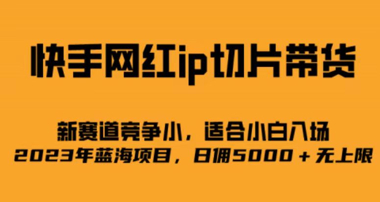 快手网红ip切片新赛道，竞争小事，适合小白 2023蓝海项目-星河网创