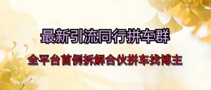 最新引流同行拼车群合伙拼车找博主日引百人新玩法-星河网创