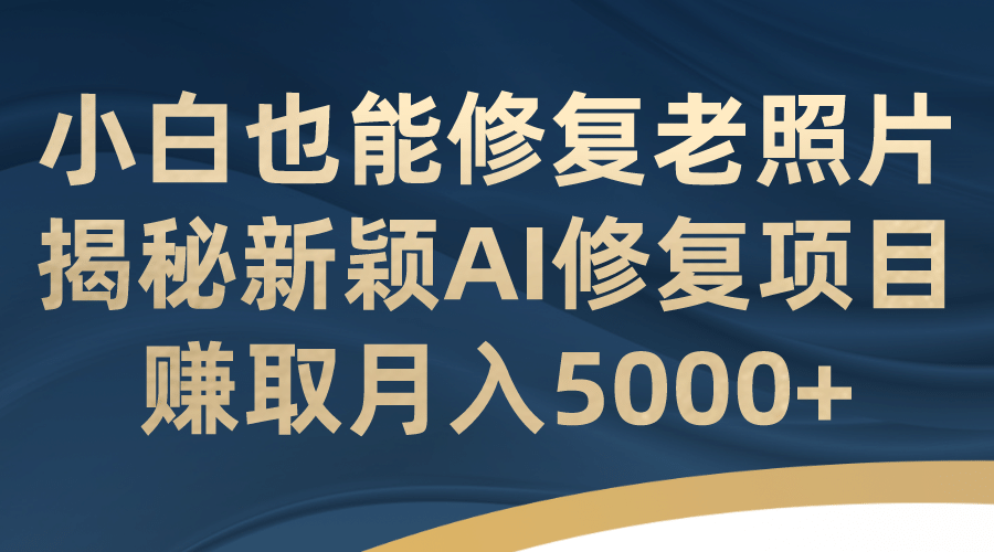 小白也能修复老照片！揭秘新颖AI修复项目，赚取月入5000+-星河网创
