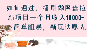 如何通过广播剧做网盘拉新项目一个月收入18000+，简单粗暴，新玩法曝光-星河网创