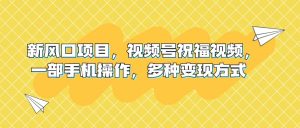 新风口项目，视频号祝福视频，一部手机操作，多种变现方式-星河网创