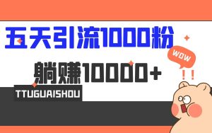 5天引流1000+，赚了1w+-星河网创