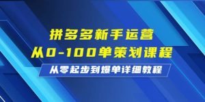 拼多多新手运营从0-100单策划课程，从零起步到爆单详细教程-星河网创