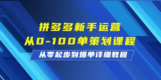 拼多多新手运营从0-100单策划课程，从零起步到爆单详细教程-星河网创