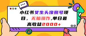 小红书女生头像账号项目，无脑操作，单日最高收益2000+-星河网创