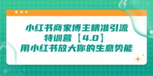 小红书商家 博主精准引流特训营【4.0】用小红书放大你的生意势能-星河网创