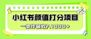 适合0基础小白的小红书颜值打分项目，一条作品收入1000+-星河网创