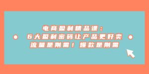 电商 盈利精品课：6大盈利 密码让产品更好卖，流量是刚需！爆款是刚需-星河网创