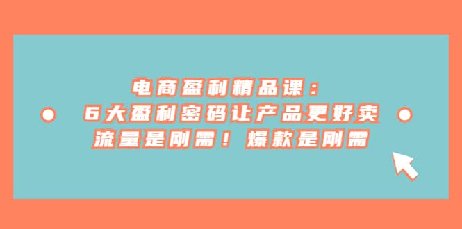 电商 盈利精品课：6大盈利 密码让产品更好卖，流量是刚需！爆款是刚需-星河网创