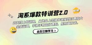 淘系爆款特训营2.0【第六期】从选品上架到付费放大 全店运营 打爆款 做好店-星河网创
