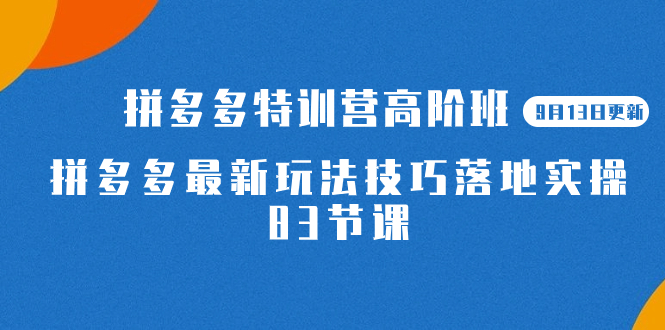 2023拼多多·特训营高阶班【9月13日更新】拼多多最新玩法技巧落地实操-83节-星河网创
