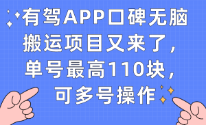 有驾APP口碑无脑搬运项目又来了，单号最高110块，可多号操作-星河网创