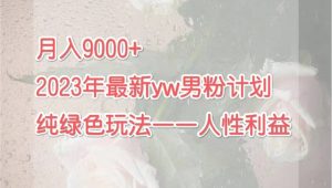 月入9000+2023年9月最新yw男粉计划绿色玩法——人性之利益-星河网创