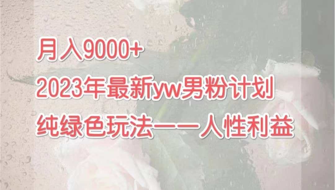 月入9000+2023年9月最新yw男粉计划绿色玩法——人性之利益-星河网创